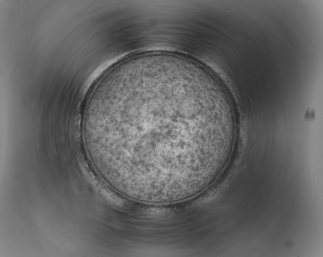 X0000111210933200907151434