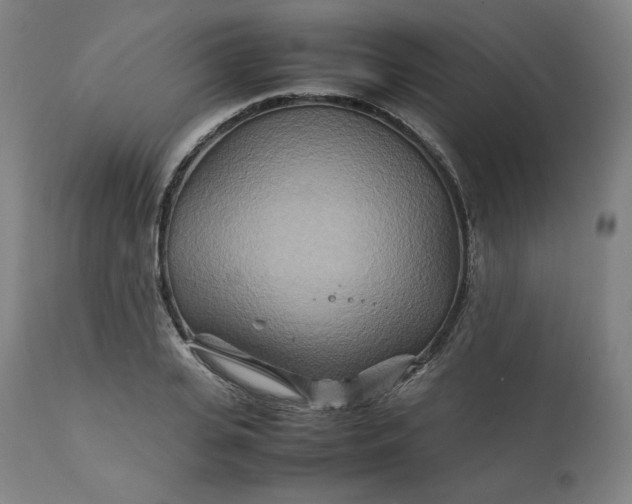 X0000111210935200907151434