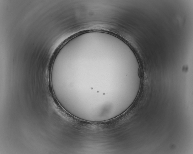 X0000111210936200907151434