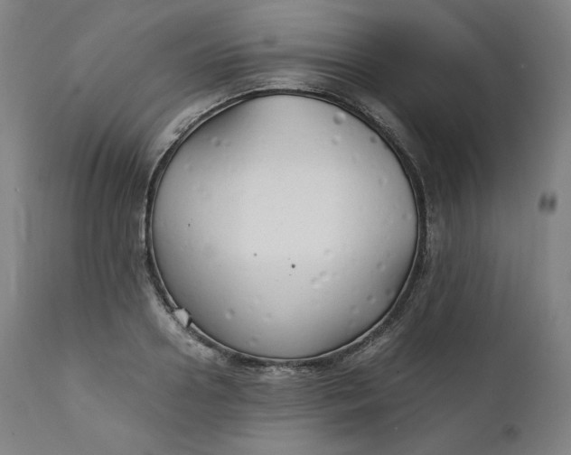 X0000111210938200907151434