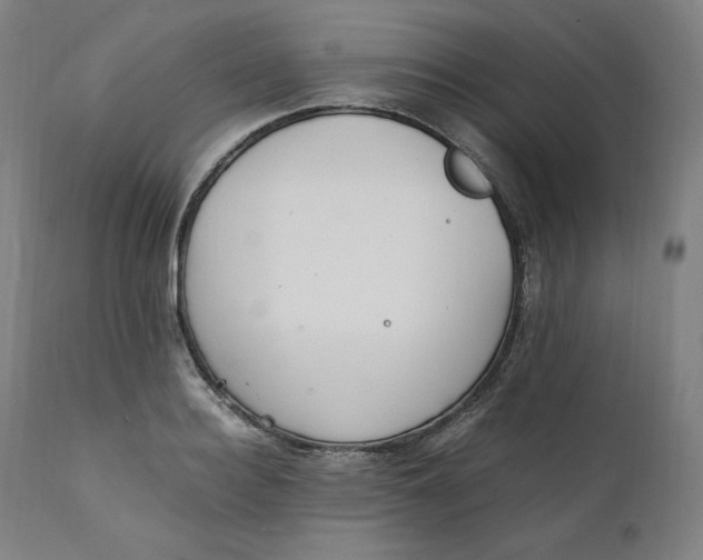 X0000111210940200907151434