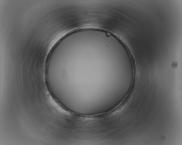 X0000111210941200907151434