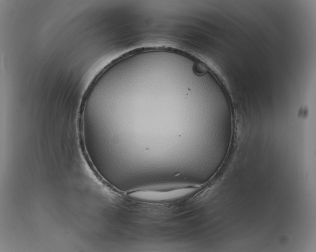 X0000111210943200907151434