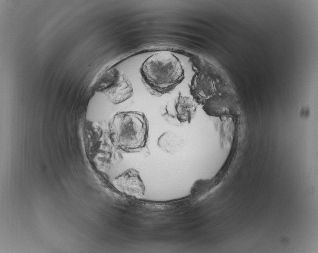 X0000111210945200907151434