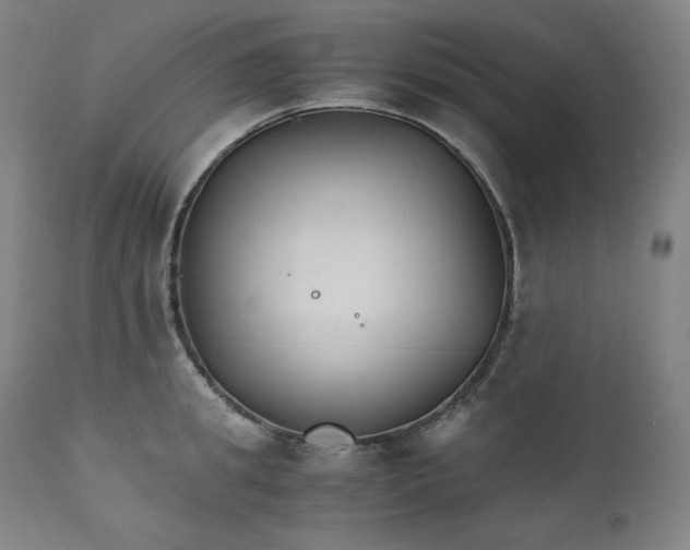 X0000111210949200907151434