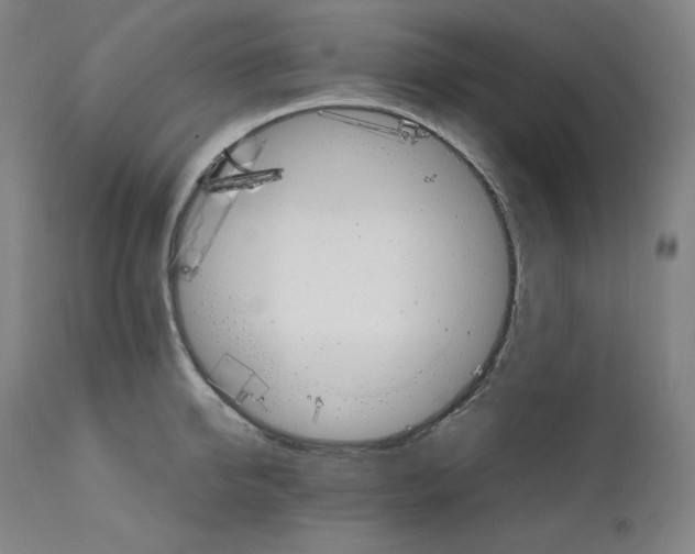 X0000111210950200907151434