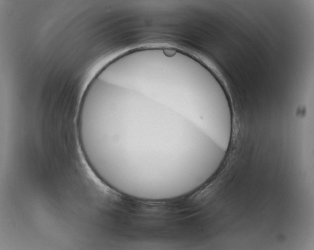 X0000111210951200907151434