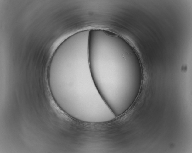 X0000111210952200907151434