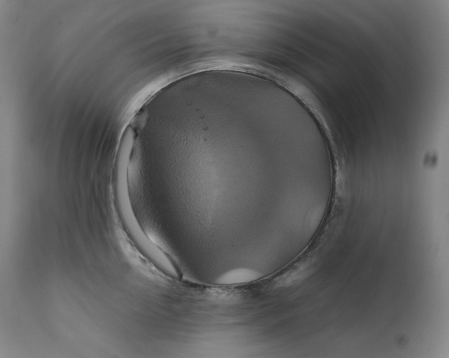 X0000111210954200907151434