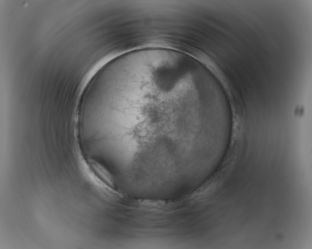 X0000111210955200907151434