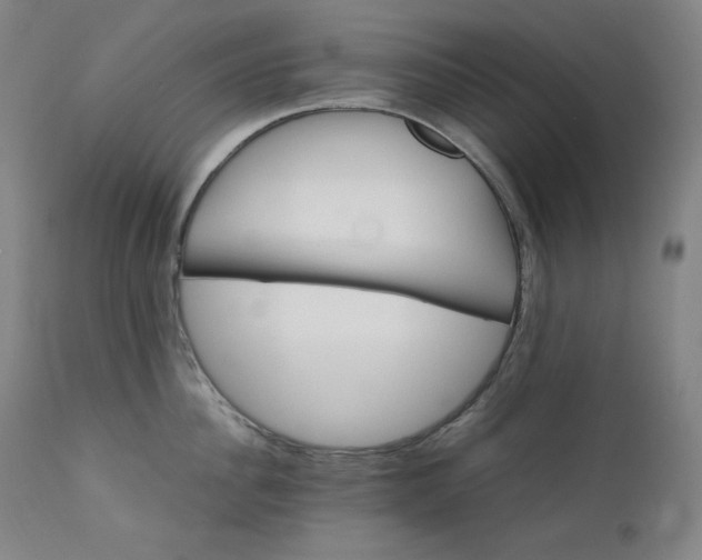 X0000111210956200907151435