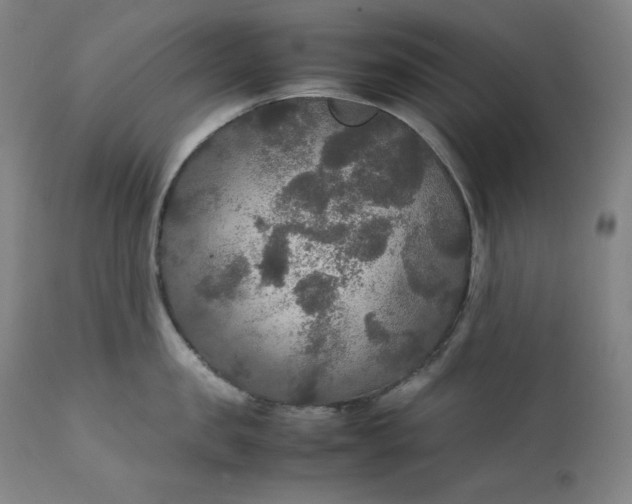 X0000111210957200907151435