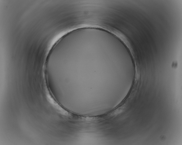 X0000111210958200907151435