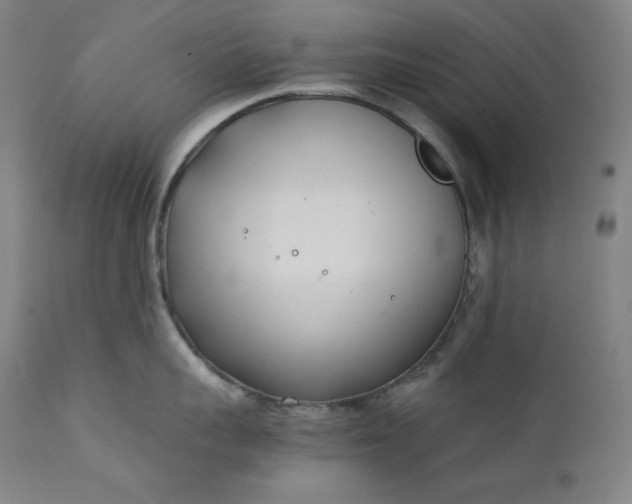 X0000111210959200907151435