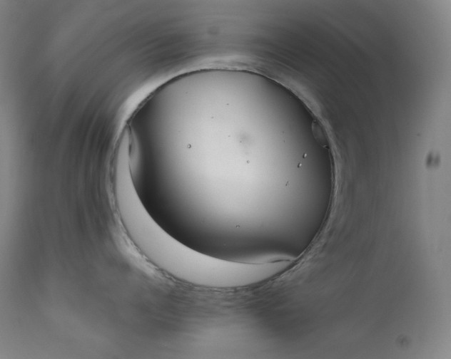 X0000111210960200907151435