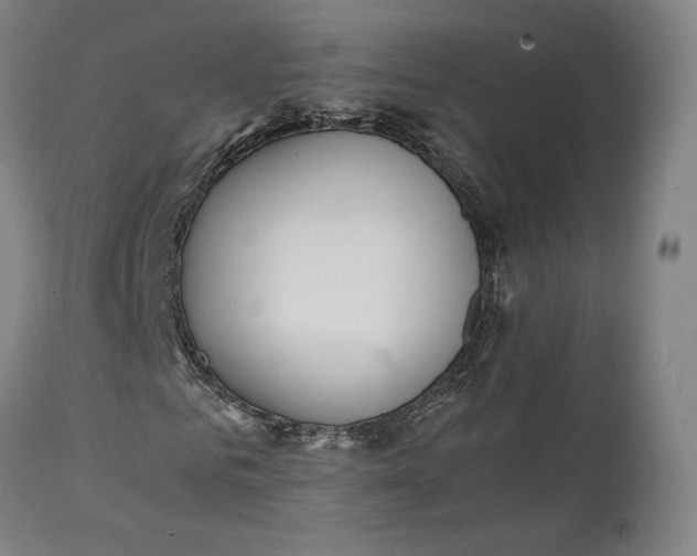 X0000111210961200907151434