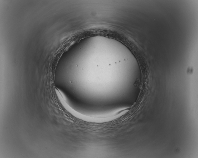 X0000111210965200907151434