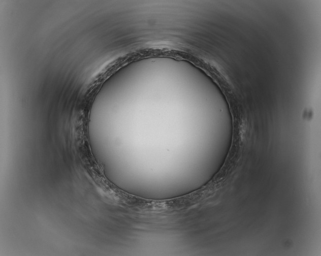 X0000111210968200907151434