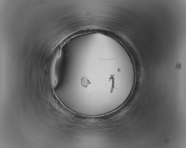 X0000111210969200907151434