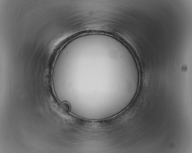 X0000111210971200907151434