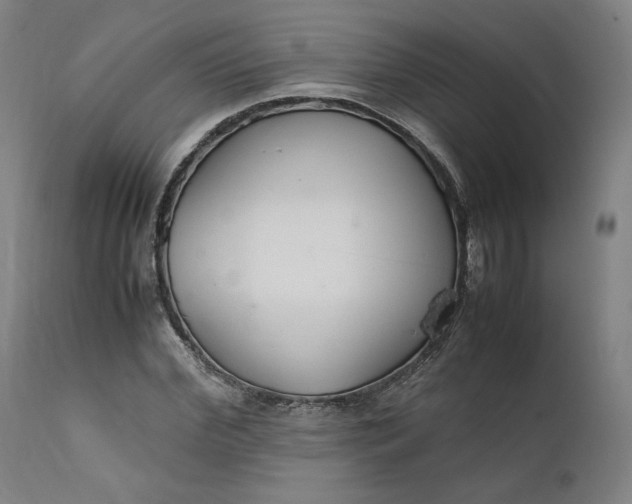 X0000111210972200907151434