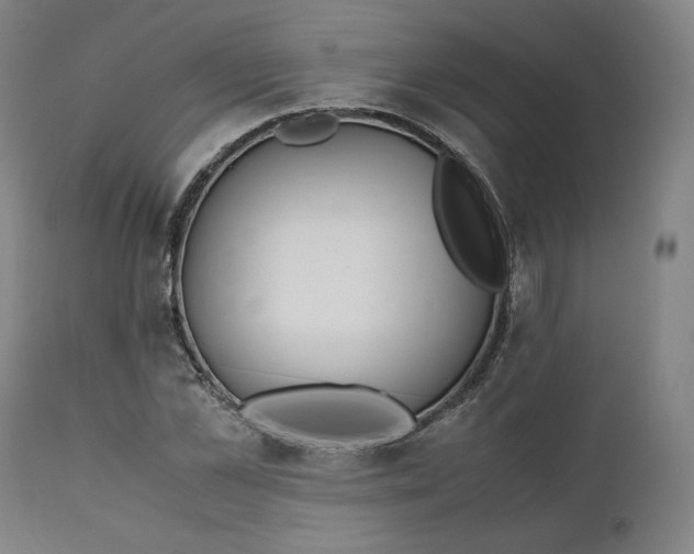 X0000111210973200907151434