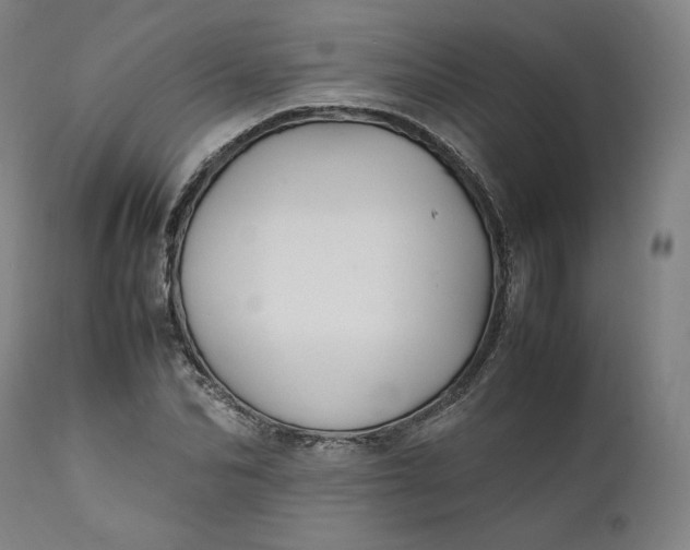 X0000111210974200907151434