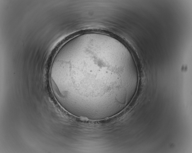 X0000111210975200907151434