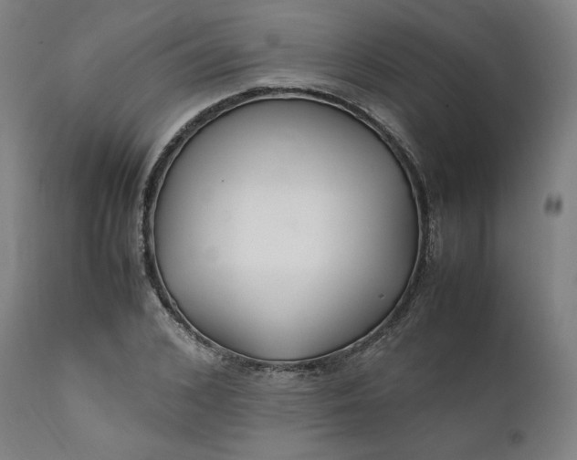 X0000111210976200907151434