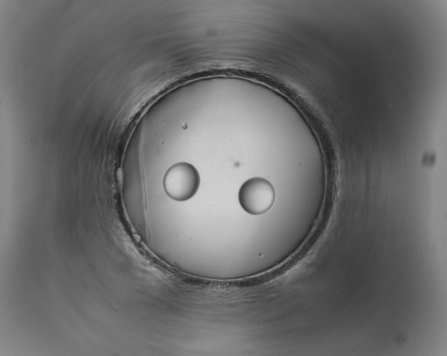 X0000111210977200907151434