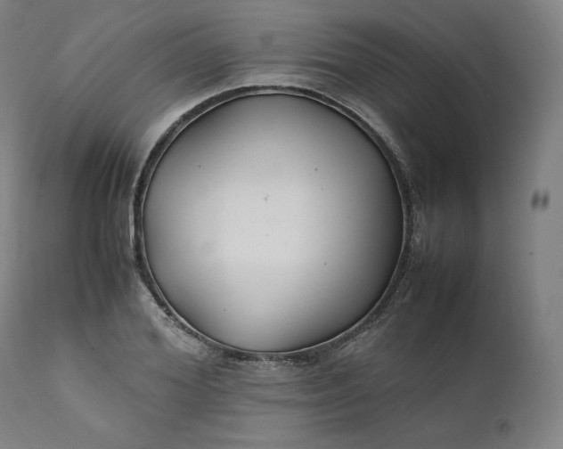 X0000111210980200907151434