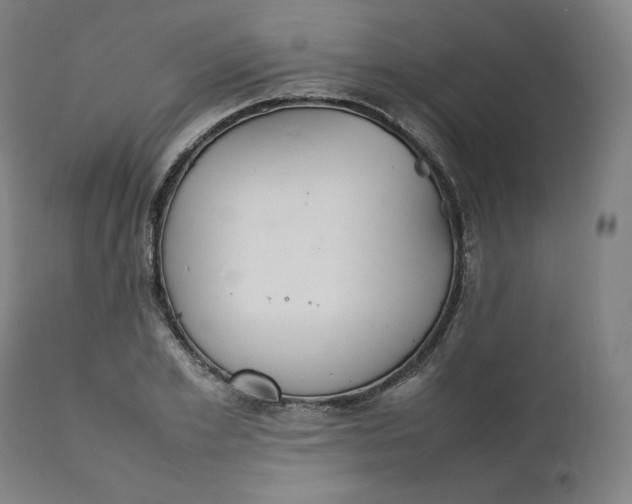 X0000111210981200907151434