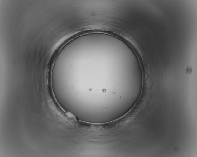 X0000111210983200907151433