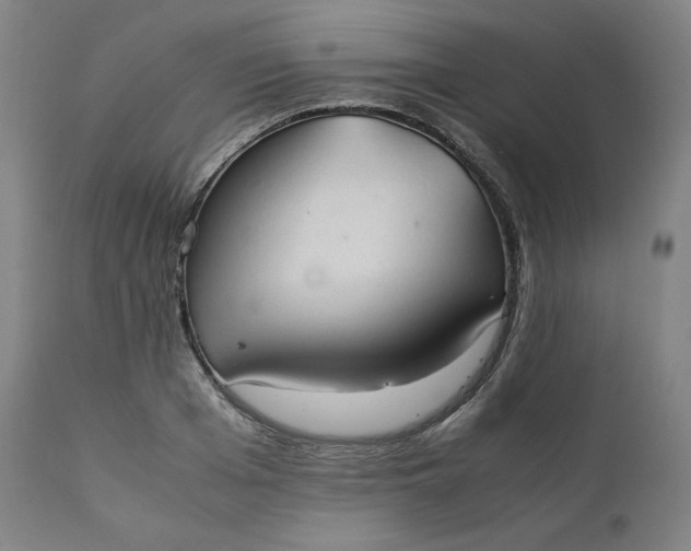 X0000111210985200907151433