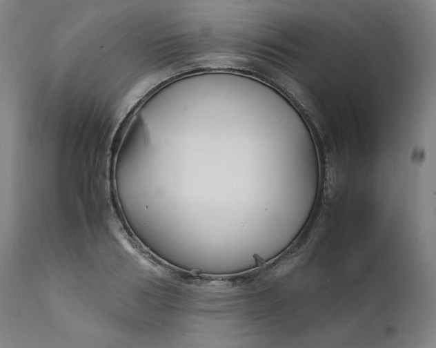 X0000111210986200907151433