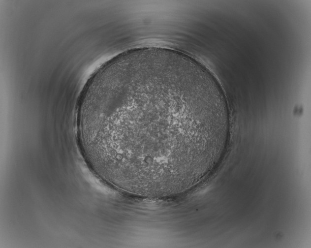 X0000111210987200907151433