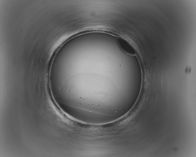 X0000111210989200907151433