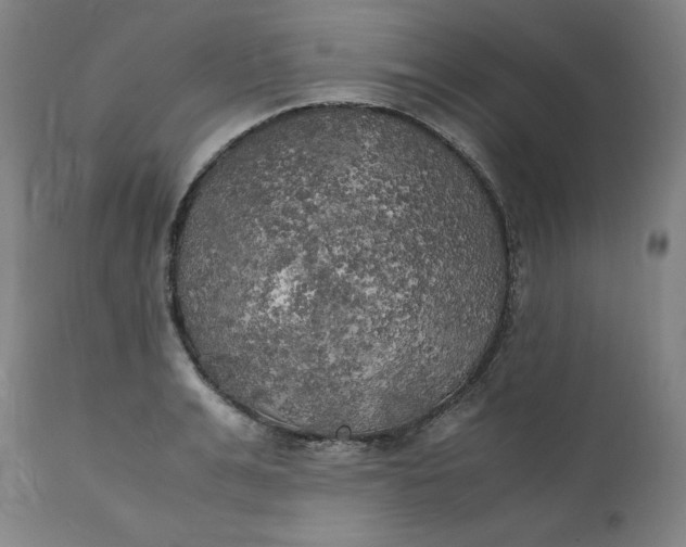 X0000111210991200907151433