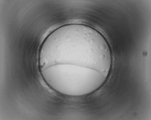 X0000111210994200907151433