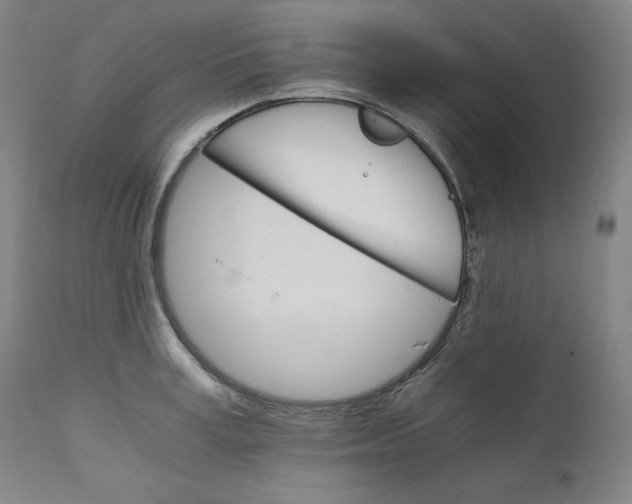 X0000111210995200907151433