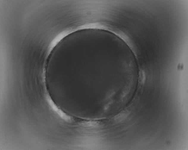 X0000111210998200907151433