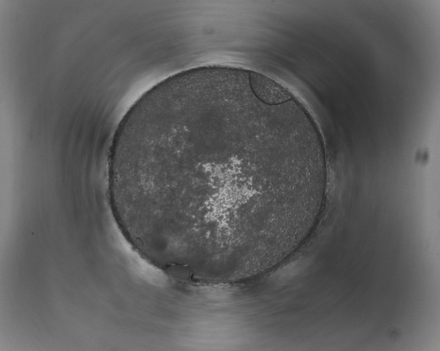 X0000111210999200907151433