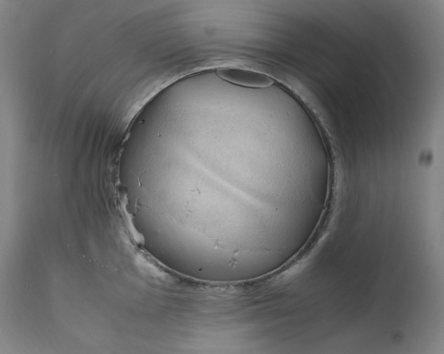 X0000111211001200907151433