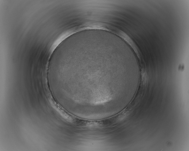 X0000111211002200907151433