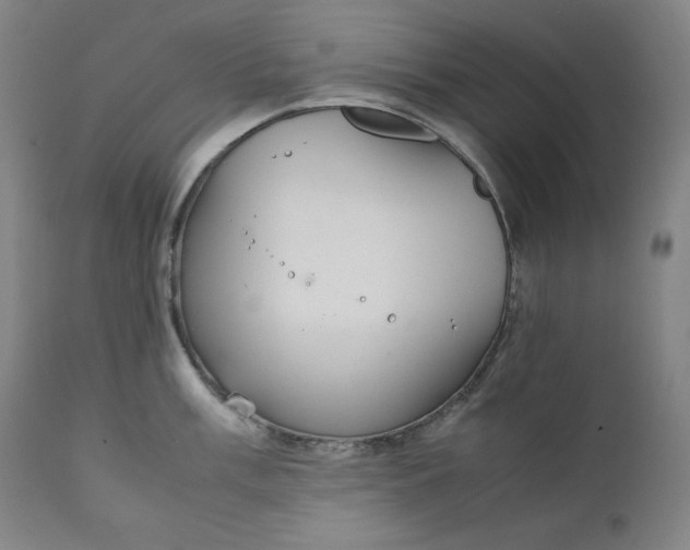 X0000111211003200907151433