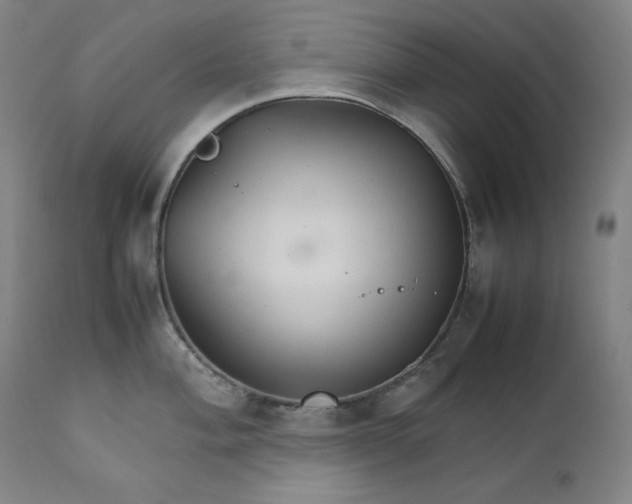 X0000111211004200907151433