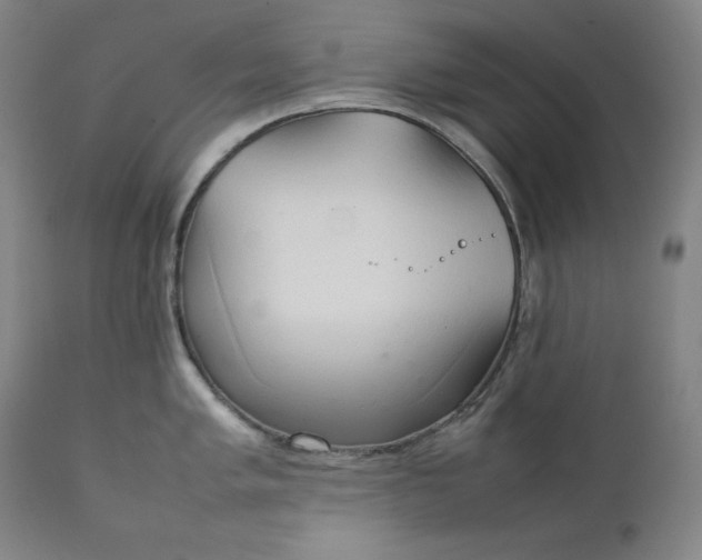 X0000111211005200907151433