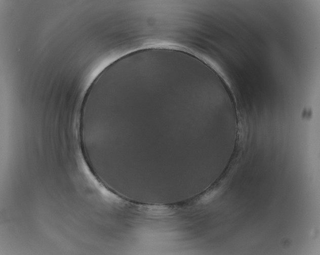 X0000111211007200907151433