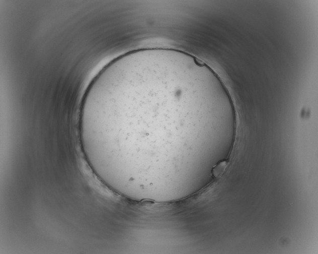 X0000111211008200907151433