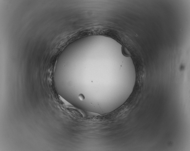 X0000111211010200907151432